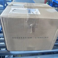 Generation Lighting Light